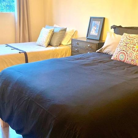 Amazing Cozy Apartment In Condesa Mexico City Ngoại thất bức ảnh