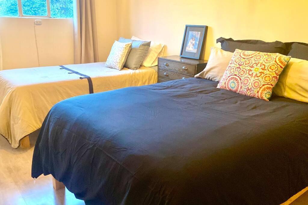 Amazing Cozy Apartment In Condesa Mexico City Ngoại thất bức ảnh