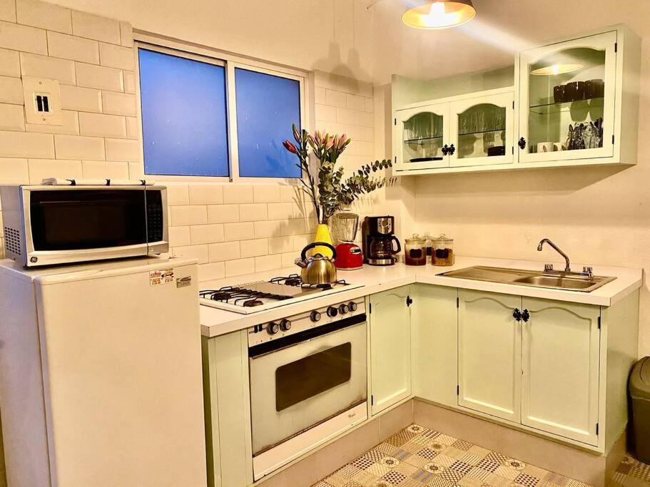 Amazing Cozy Apartment In Condesa Mexico City Ngoại thất bức ảnh