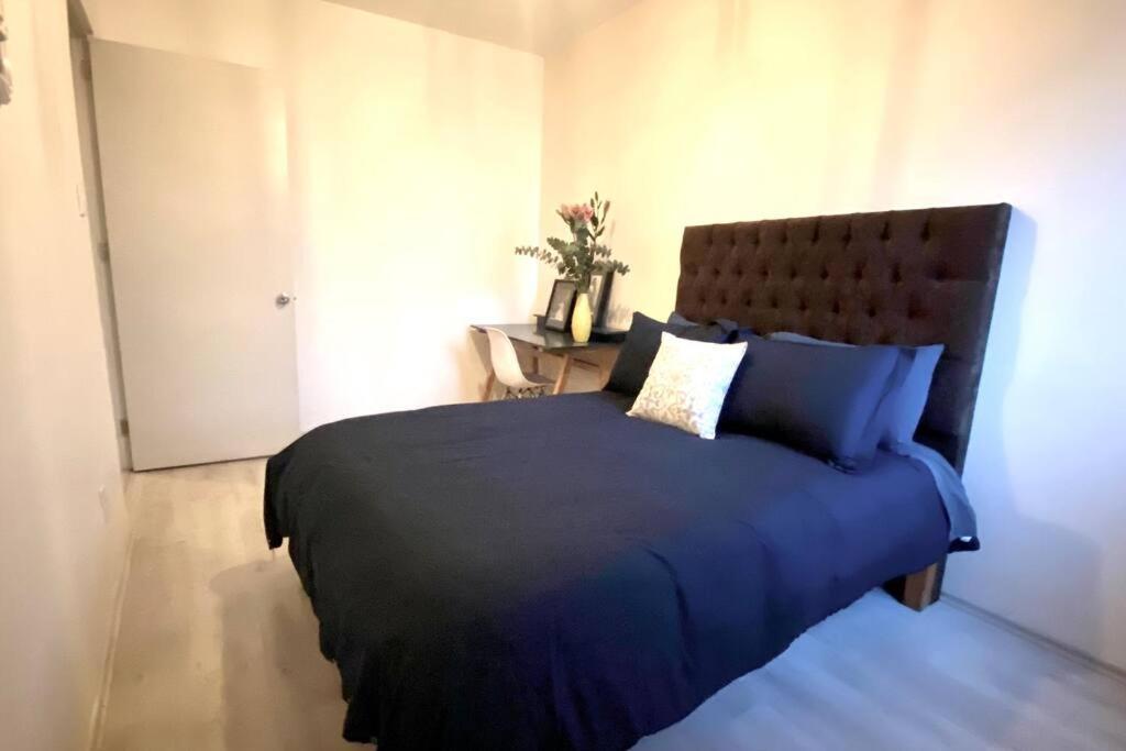 Amazing Cozy Apartment In Condesa Mexico City Ngoại thất bức ảnh